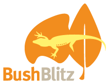 BushBlitzLogo_orange