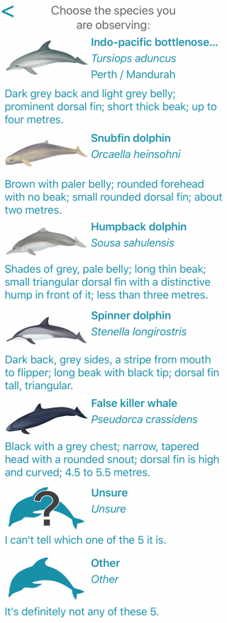 Dolphin species selector within the Dolphin Watch app.