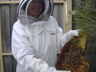 Barb's bee-keeping in the 'burbs