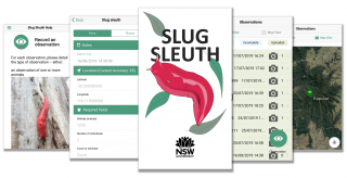 Screenshots from the Slug Sleuth app